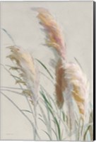 Framed Neutral Pampas Grasses II