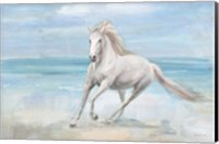 Framed Gallop on the Beach