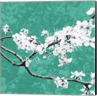 Framed Blossom in Green