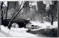 Framed Central Park Bridge