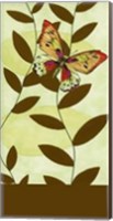 Framed Butterfly Whimsey II