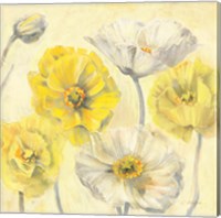 Framed 'Gold and White Contemporary Poppies II' border=