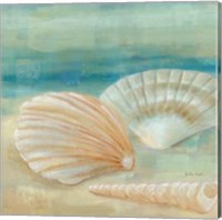 Framed 'Horizon Shells IV' border=