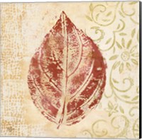 Framed 'Leaf Scroll II' border=