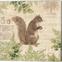 Framed 'Woodland Trail III (Squirrel)' border=