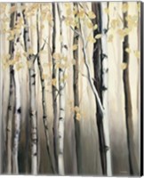 Framed 'Golden Birch II' border=