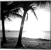 Framed BW Bimini Sunset II