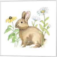 Framed 'Wildflower Bunnies II Sq' border=