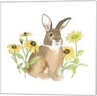 Framed 'Wildflower Bunnies III Sq' border=