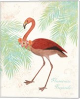 Framed 'Flamingo Tropicale II' border=