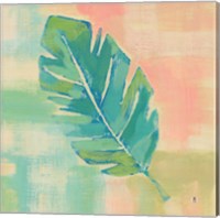 Framed 'Beach Cove Leaves III' border=