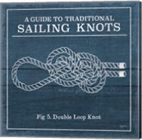 Framed 'Vintage Sailing Knots V' border=