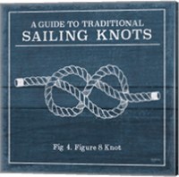 Framed 'Vintage Sailing Knots IV' border=