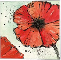 Framed 'Not a California Poppy IV' border=