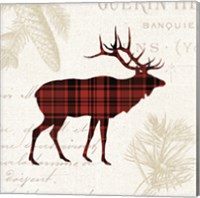 Framed 'Plaid Lodge III' border=