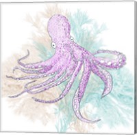 Framed 'Octopus Purple' border=