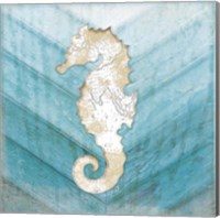 Framed 'Coastal Seahorse' border=