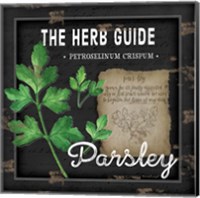 Framed 'Herb Guide Parsley' border=