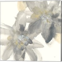 Framed 'Gray and Silver Flowers II' border=