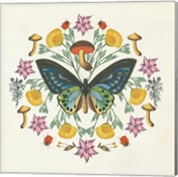 Framed 'Butterfly Mandala IV' border=