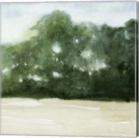 Framed 'Loose Landscape II' border=