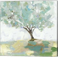 Framed 'Pear Tree' border=