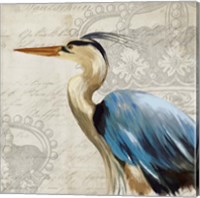 Framed 'Heron II' border=