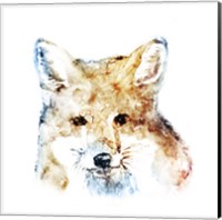 Framed 'Watercolour Fox' border=