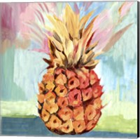 Framed 'Pineapple' border=