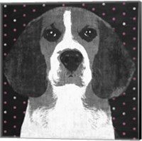 Framed 'Beagle' border=