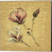 Framed 'Magnolia Blossom on Gold' border=