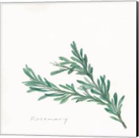 Framed 'Rosemary II' border=