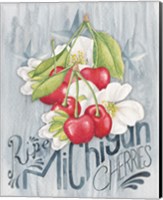 Framed 'American Berries III' border=