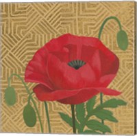 Framed 'Poppy with Pattern' border=