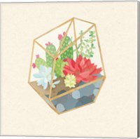 Framed 'Succulent Terrarium IV' border=