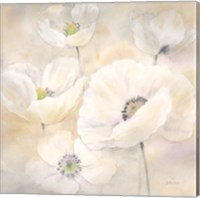 Framed 'White Poppies II' border=