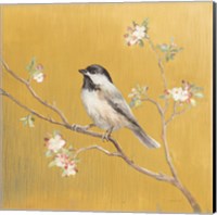 Framed 'Black Capped Chickadee on Gold' border=