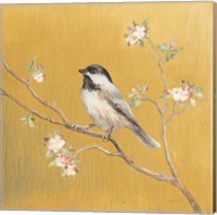 Framed 'Black Capped Chickadee on Gold' border=