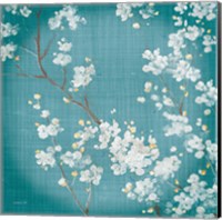 Framed 'White Cherry Blossoms II on Teal Aged no Bird' border=