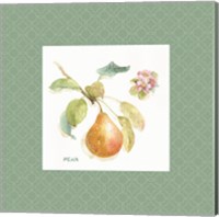 Framed 'Orchard Bloom II Border' border=