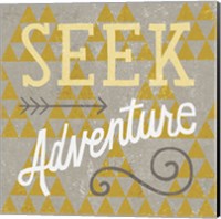 Framed 'Mod Triangles Seek Adventure Retro' border=