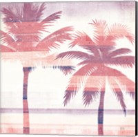 Framed 'Beachscape Palms III Pink Purple' border=