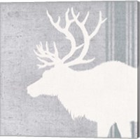 Framed 'Woodland Animal II' border=