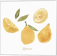 Framed 'Fresh Lemons' border=