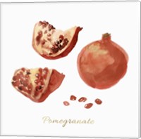 Framed 'Pomegranate' border=