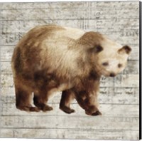 Framed 'Crossing Bear I' border=