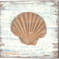 Framed 'Ocean Scallop' border=