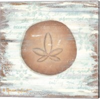 Framed 'Ocean Sand Dollar' border=