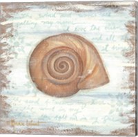 Framed 'Ocean Snail' border=