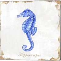 Framed 'Blue Sea Horse' border=